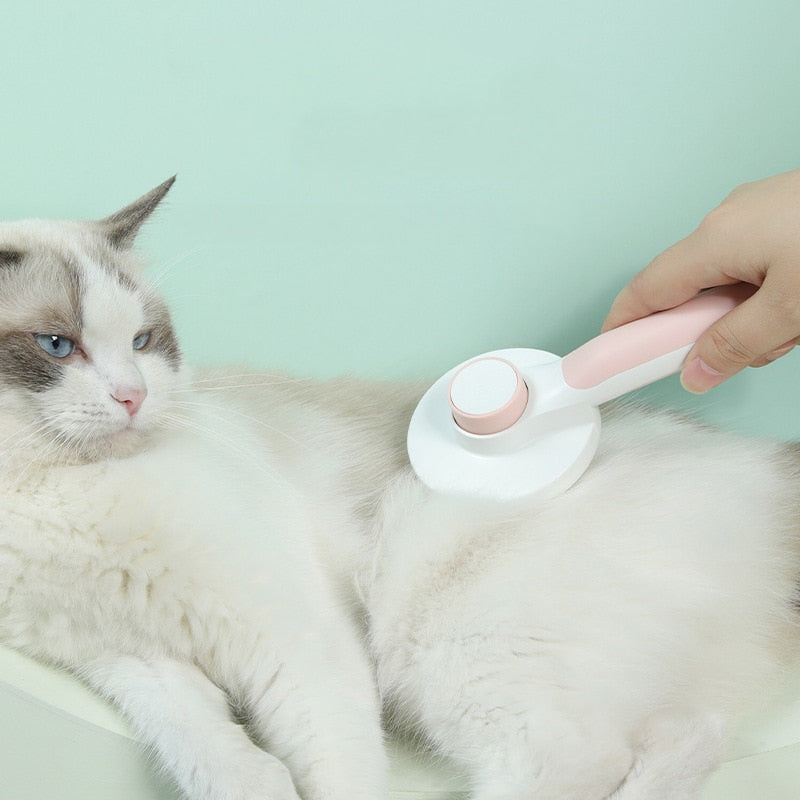 Hairball Remedies for Cats: What Works and When to Worry