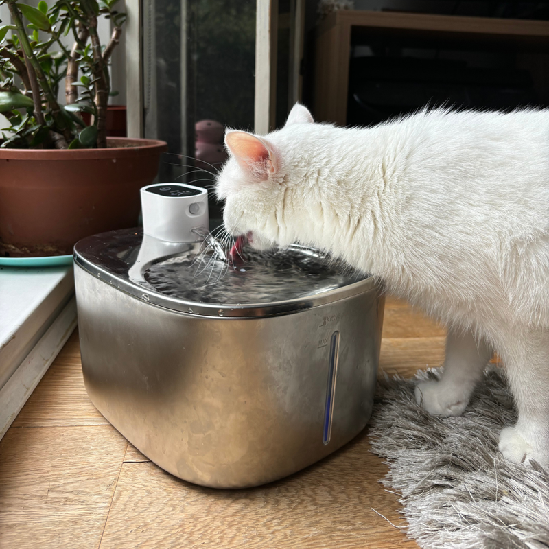 Built to Eliminate Whisker Fatigue