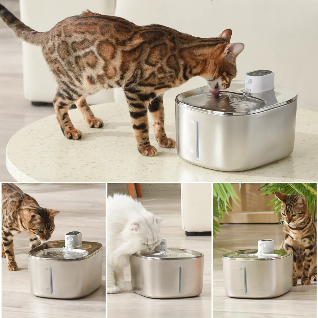 Refurbished The KittySpout - Wireless Fountain - 4 Month: Wireless KittySpout + 8 filter sets + free gift