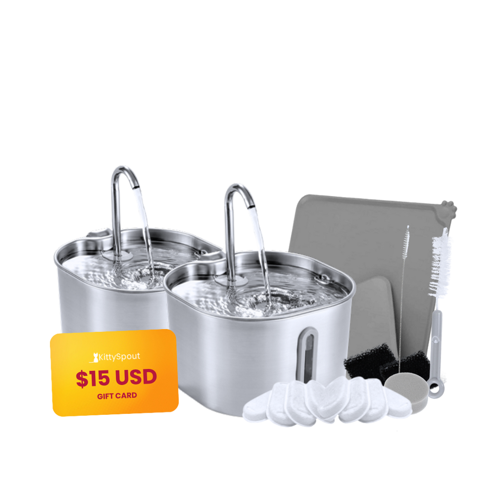 The KittySpout™ - 2.2L Big Cat Family Bundle
