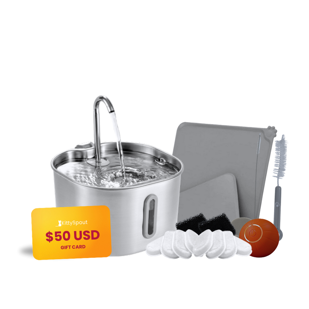 The KittySpout™ - 2.2L Hydration & Playtime Value Bundle