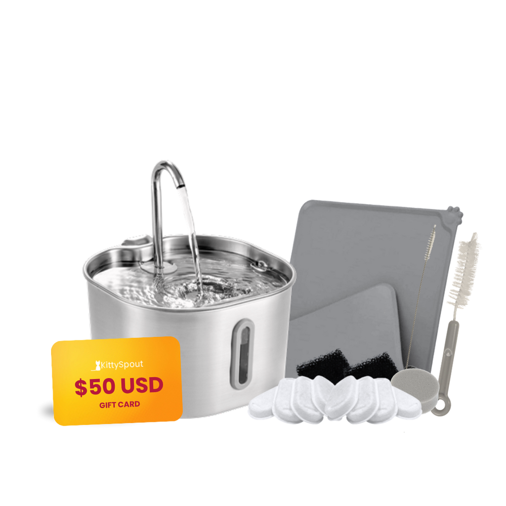 The KittySpout™ - 2.2L Value Bundle
