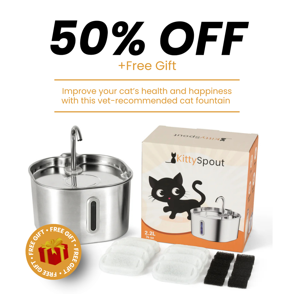 The KittySpout™ - Health & Happiness Cat Kit