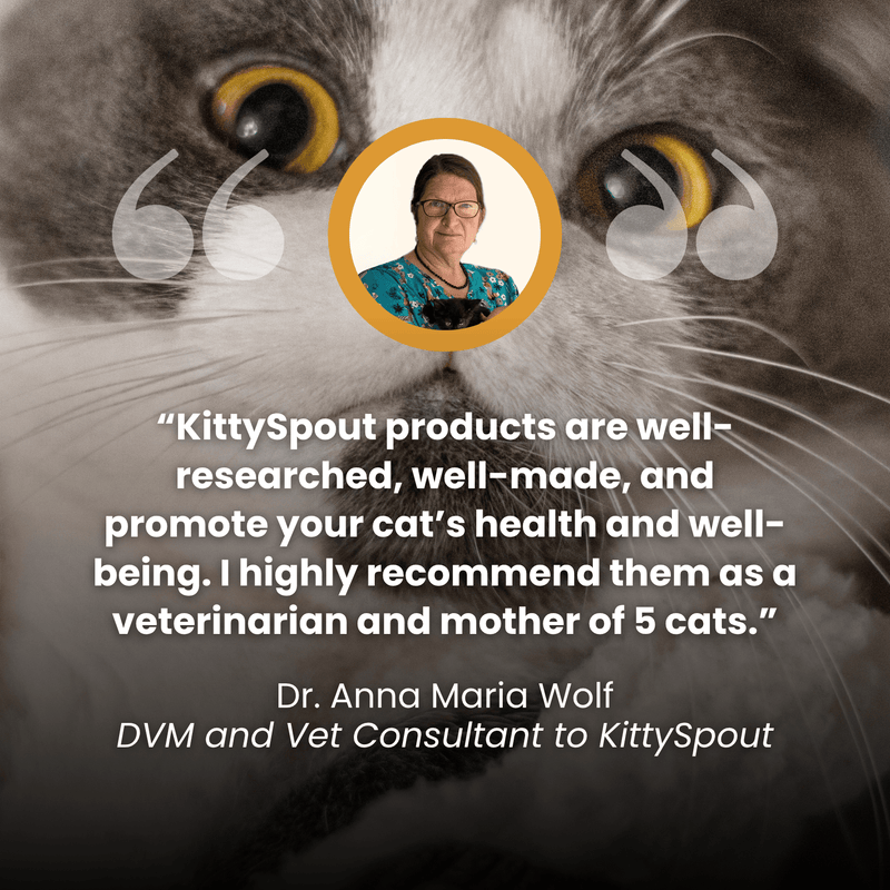 The KittySpout™ - Health & Happiness Cat Kit