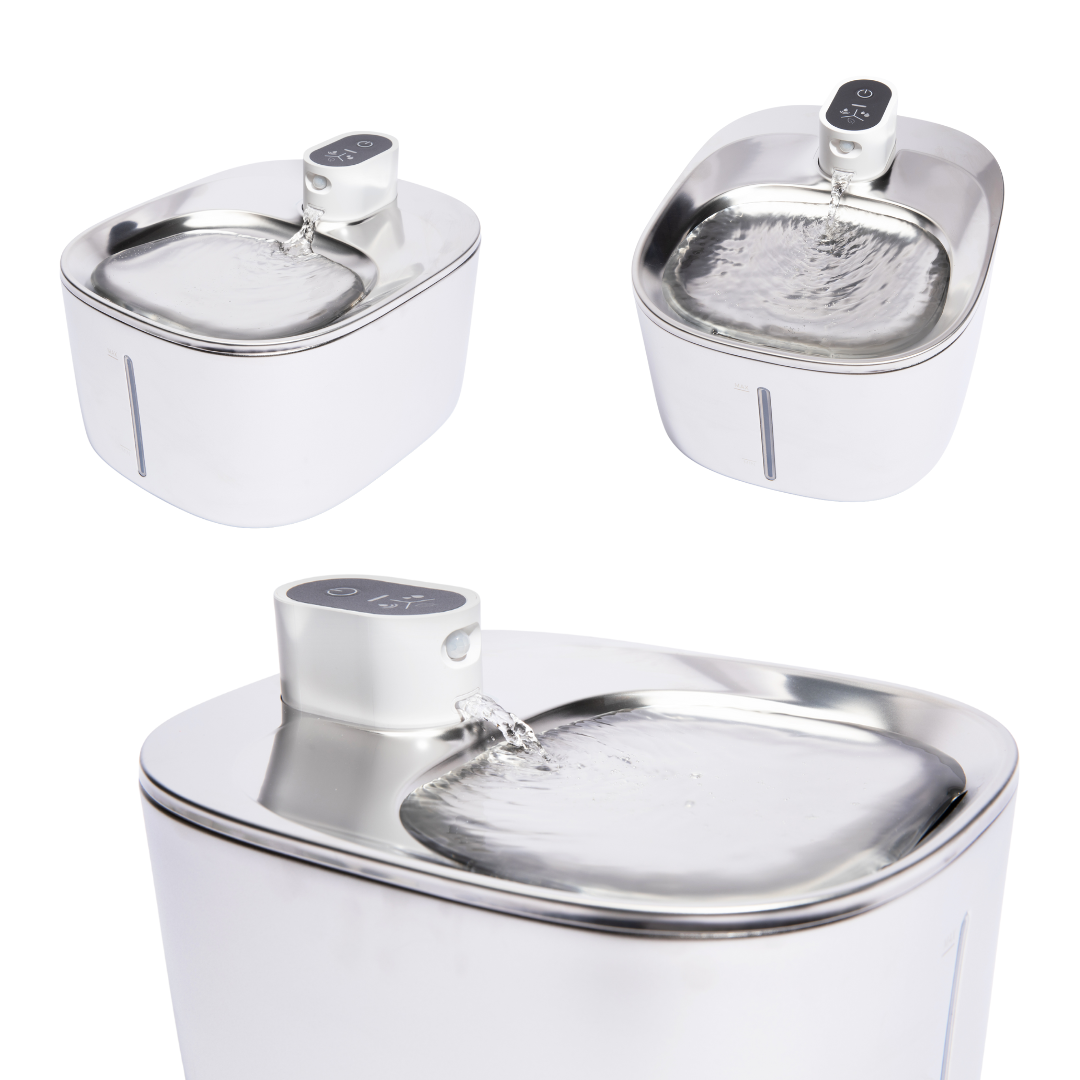 Refurbished The KittySpout - Wireless Fountain - 2 Month: Wireless KittySpout + 4 filter sets + free gift