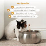 The KittySpout™ - Health & Happiness Cat Kit thumbnail