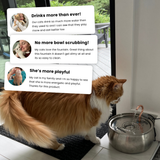 The KittySpout™ - Health & Happiness Cat Kit thumbnail