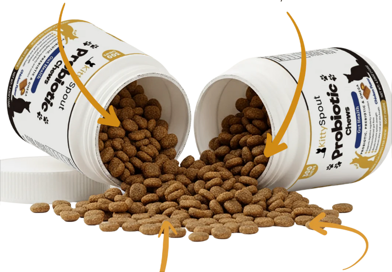 The Probiotic Delivery Breakthrough