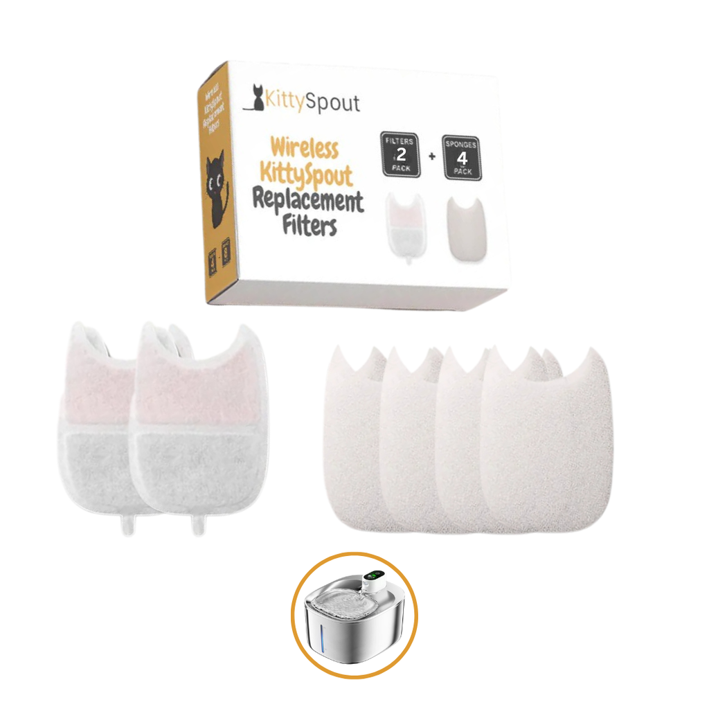 1 Month Filter Pack