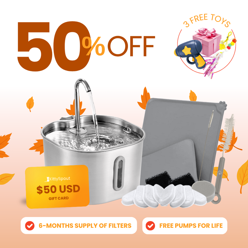 Das KittySpout™ – 2,2L Vorteils-Bundle