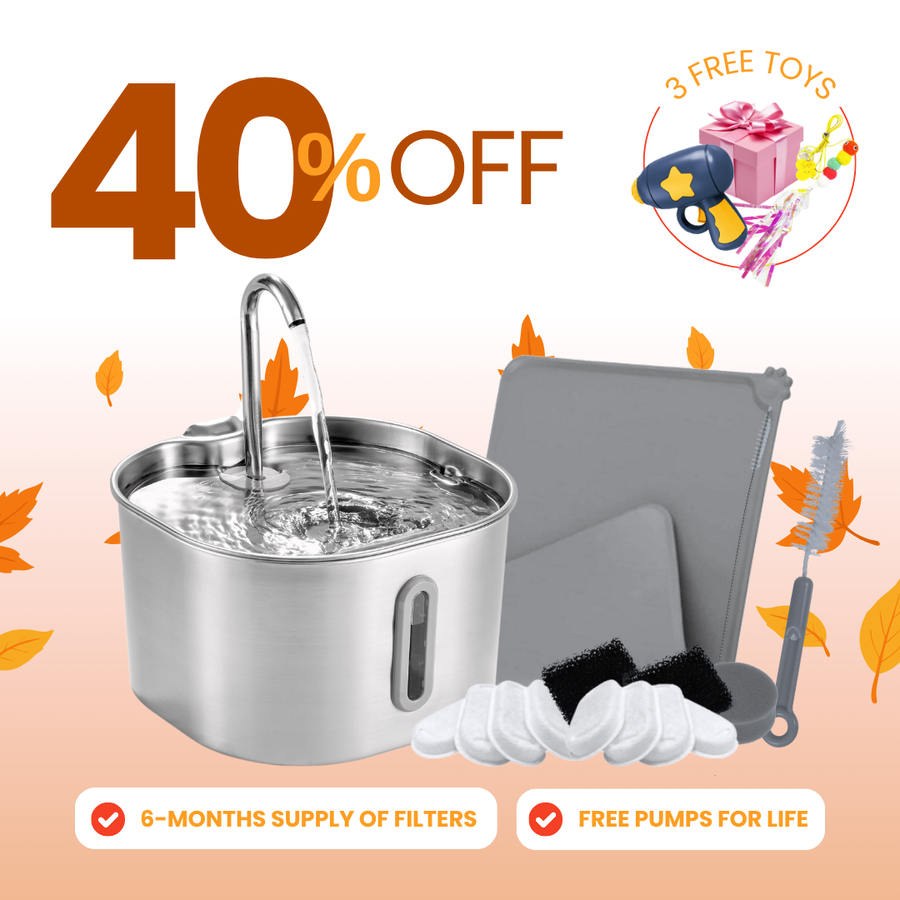 Das KittySpout™ - 2,2L Purrrfekte KittySpout Kit