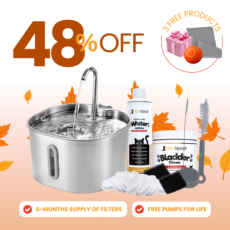 Das KittySpout™ - 2,2L Hydrations- & Gesundheits-Bundle