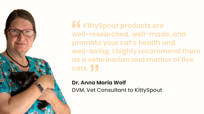 Why Cats Love The KittySpout
