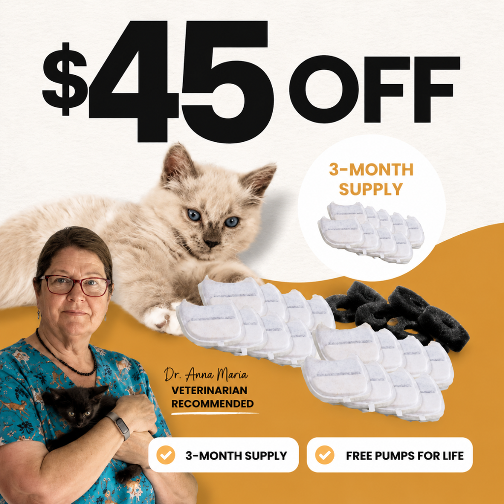 3-Month Filter Pack