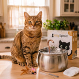 The KittySpout™ - Health & Happiness Cat Kit thumbnail