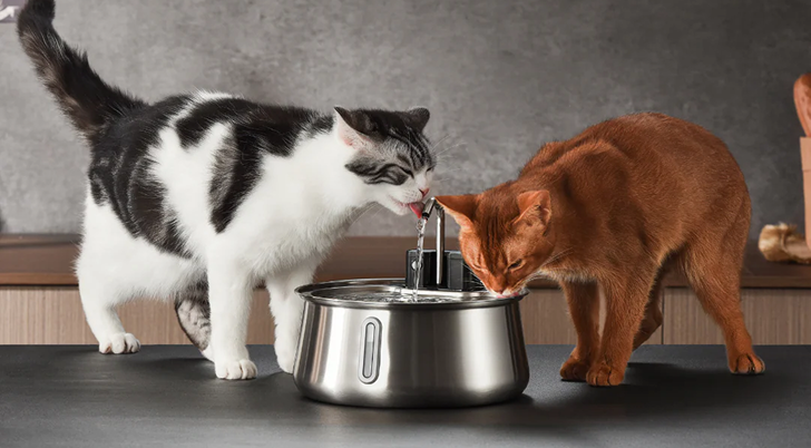 8.5-Inch Wide Basin — Zero Whisker Contact