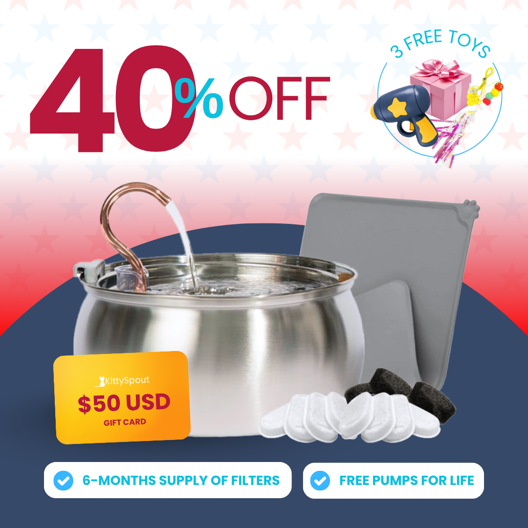 Save Big with Bundles