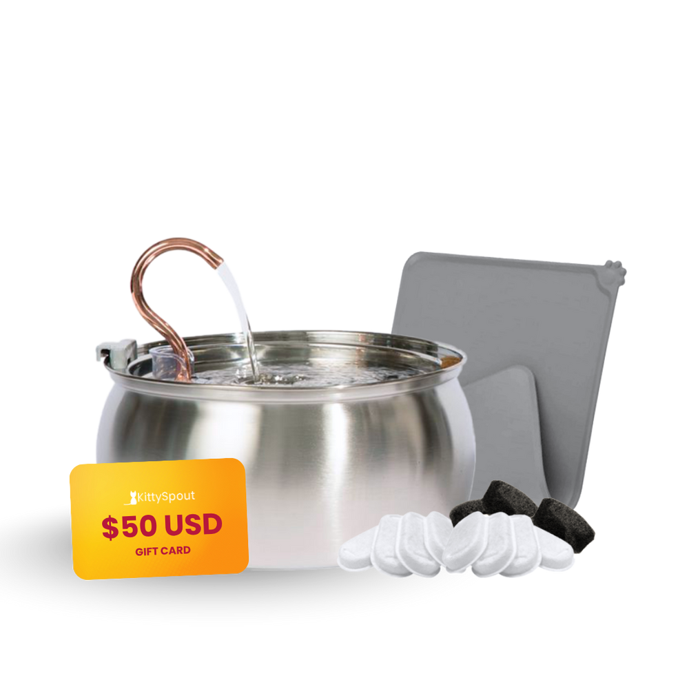 KittySpout Value Bundle