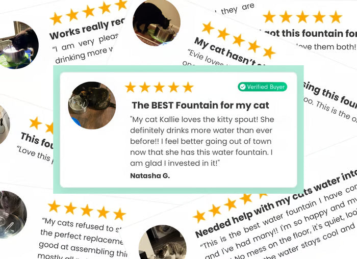 5. Trusted By 700,000+ Cat Owners