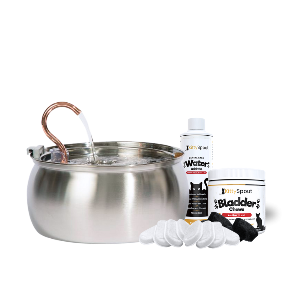 Hydration & Health Bundle