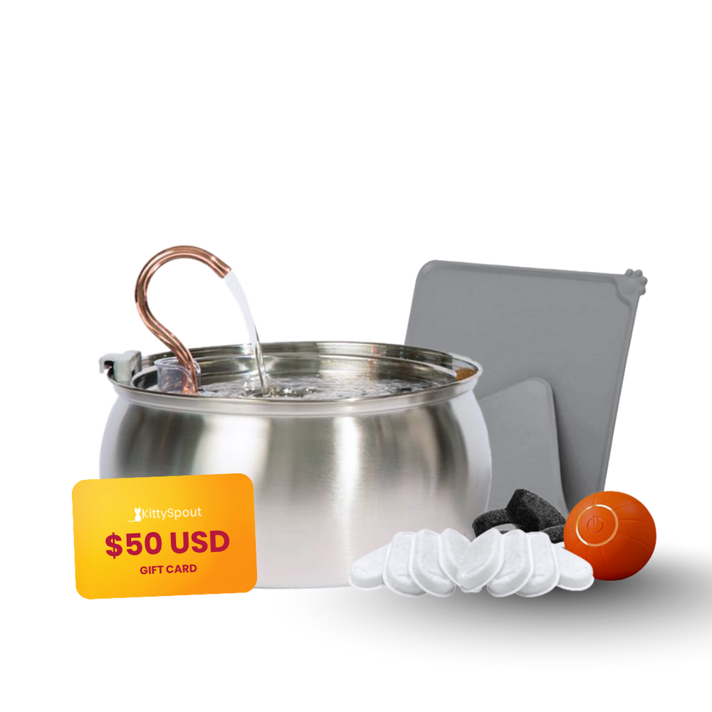 Hydration & Playtime Value Bundle