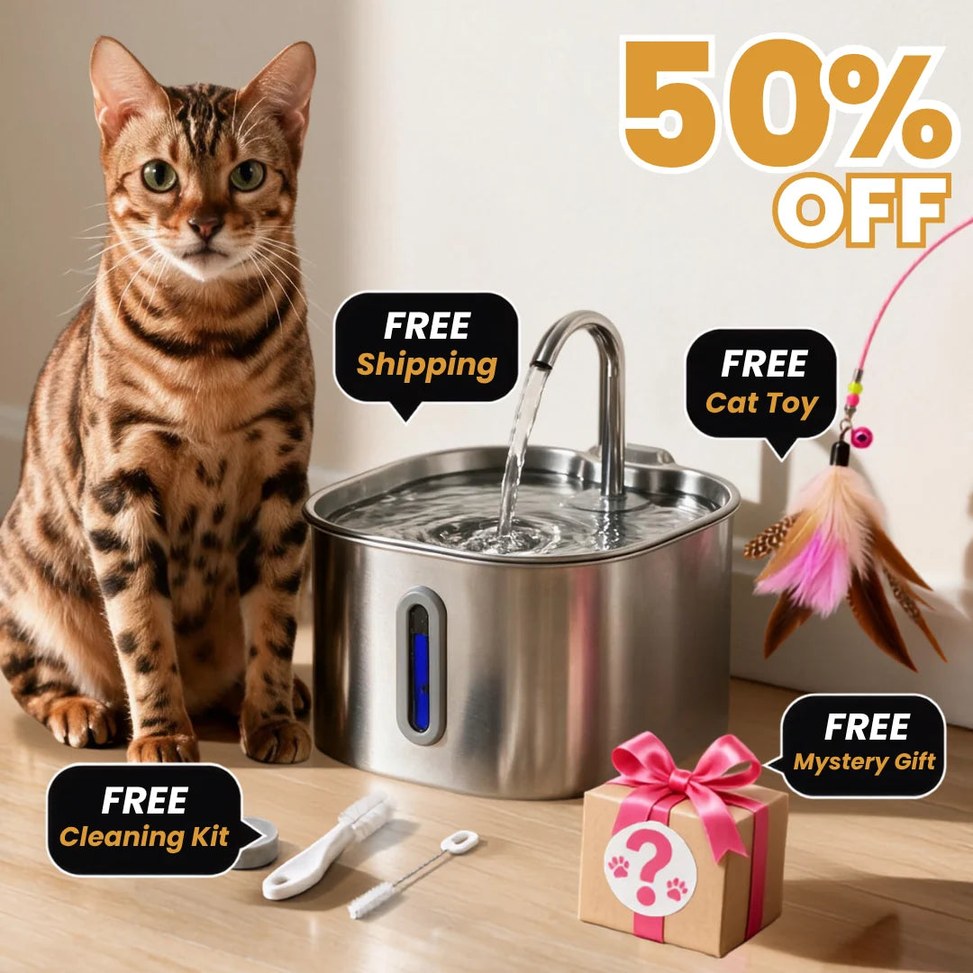 Get 50% OFF + 4 FREE Gifts Today!