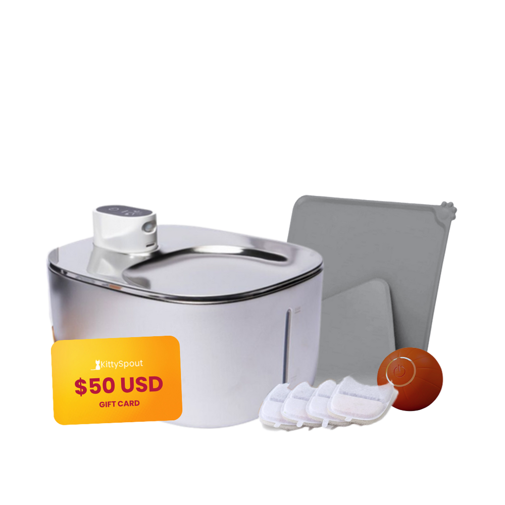 Wireless Hydration & Playtime Value Bundle