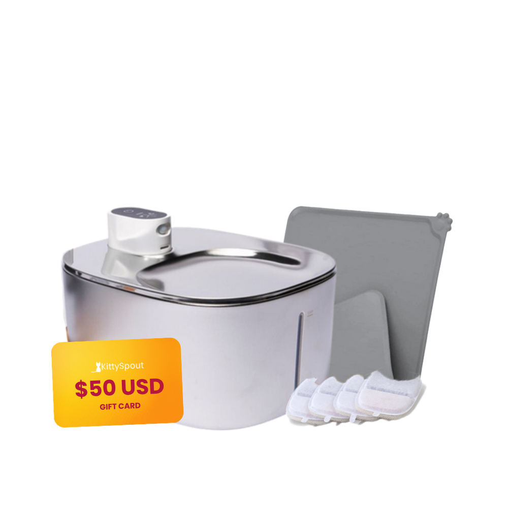 Wireless KittySpout Value Bundle