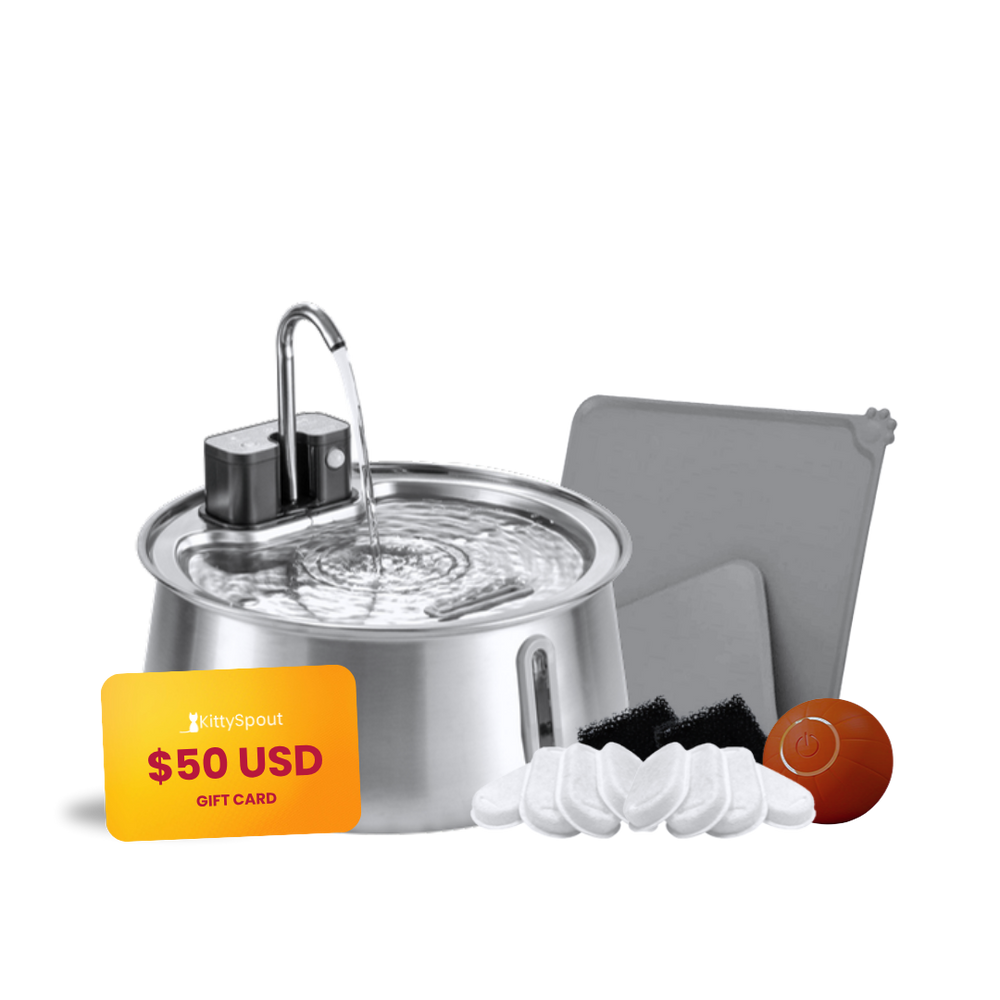Wireless 2.0 Hydration & Playtime Value Bundle