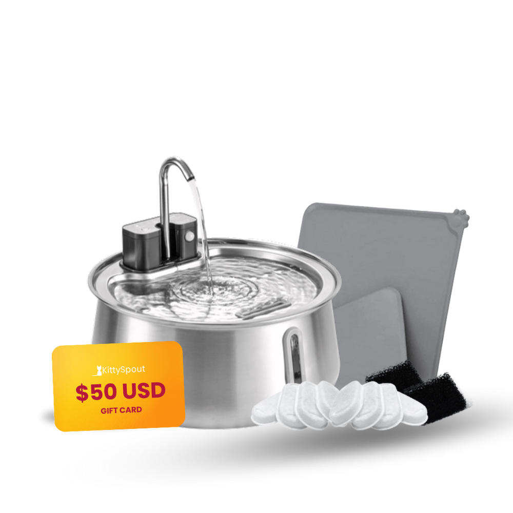 Wireless 2.0 KittySpout Value Bundle