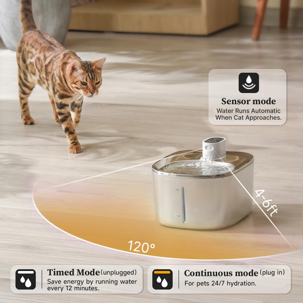 New The KittySpout - Wireless Fountain - 4 Month: Wireless KittySpout + 8 filter sets + free gift